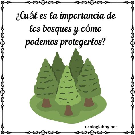 Cuál es la importancia de los bosques y cómo podemos protegerlos