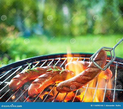 Barbecue Picnic On A Meadow Stock Photo Image Of Heat Outdoor