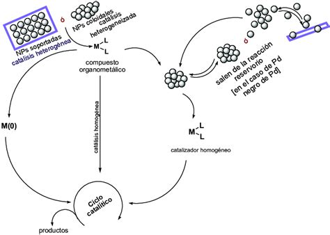 Esquema De Reacciones Catalíticas Que Involucran Catalizadores Download Scientific Diagram