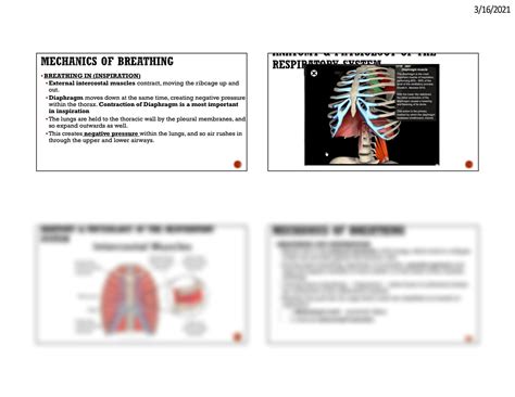 Solution Chest Injuries Notes Studypool