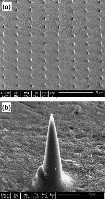 The Sem Images Of A Diamond Nanocone Arrays On The Surface Of A