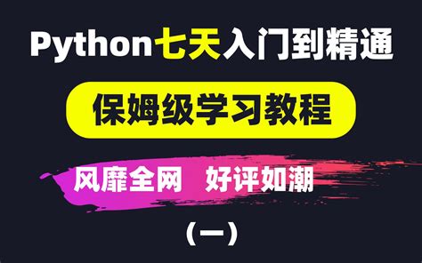 Python七天入门教程，完全保姆级教学，简直惊艳到我~太感动了！哔哩哔哩bilibili