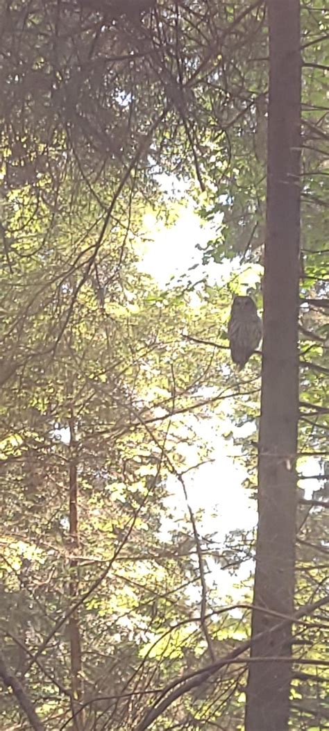 Best Vancouver Bc Images On Pholder Earth Porn City Porn And Vancouver