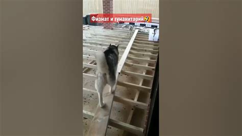 Физмат и гуманитарий🤣 - YouTube