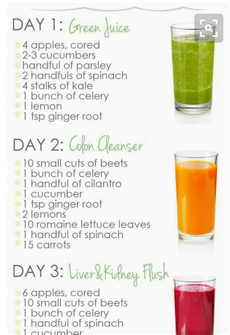 2 Day Cleanse Vegan Juice Cleanse Detox Juice Juice Cleanse Recipes