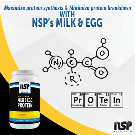 92% Milk & Egg Protein Powder | NSP Nutrition