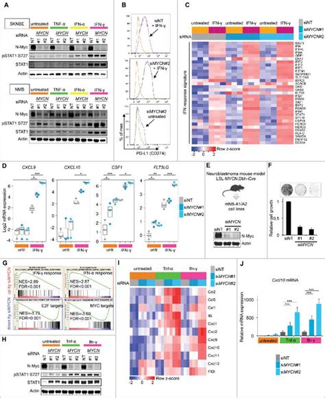 Rna Seq Data Pre Analysis Processing Bioz Ratings For Life Science