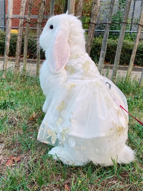 Bunny in Ivory Embroidered Tulle Wedding Dress