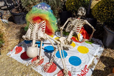 The Hidden Gem of Flagstaff: Viola's Pumpkin Patch - Renaissance Alana