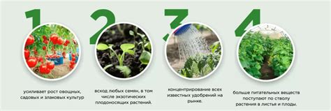 Агроформула Купить в Тетюшах – Отзывы и Цена!
