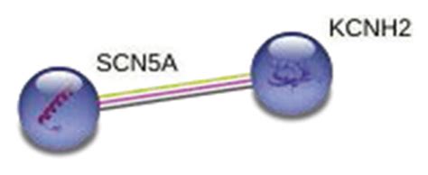 5 clusters in the PPI network by using MCL. The 5 clusters contain 127 ...