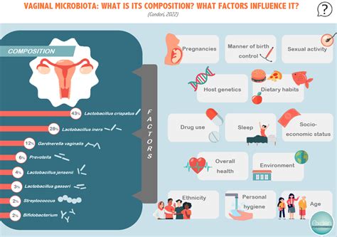 INFOGRAPHIC Vaginal Microbiota What Is Its Composition What