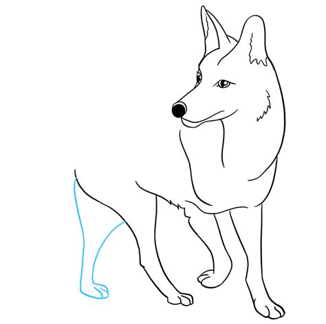 How To Draw A Coyote Really Easy Drawing Tutorial