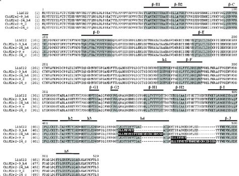 Amino Acid Alignment Of L1Δc22 And Chimeras Structural Helices And Download Scientific Diagram