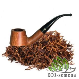 ТАБАК семена - Интернет-магазин Eco-semena