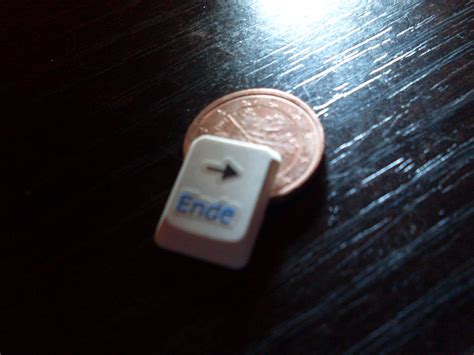 taste – Astrodicticum Simplex