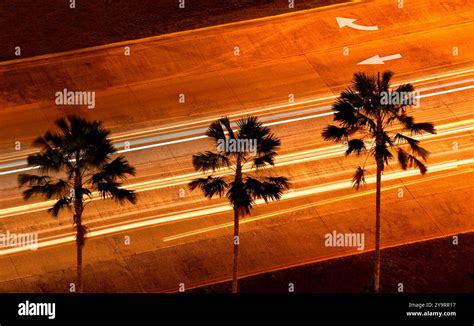 Panama Waterfront City And Light Trails At Night Stock Photo Stock