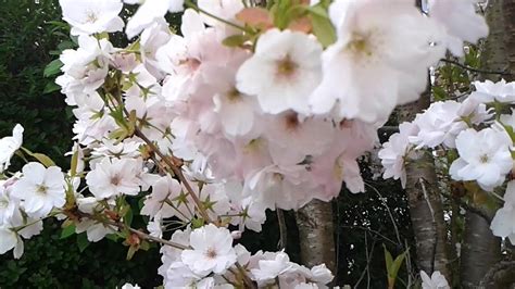 Загляни мне в глаза (Песня) - YouTube