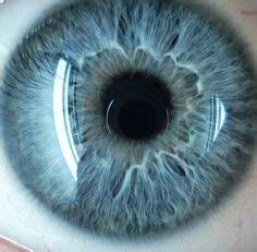 Идеи на тему Naked eyes фотография глаза цвет глаз искусство глаза