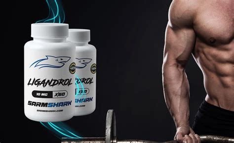 Ligandrol: Muscle Growth and Strength – Sarm Shark