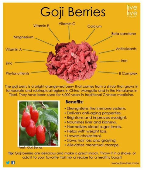 Goji Berries Goji Berries