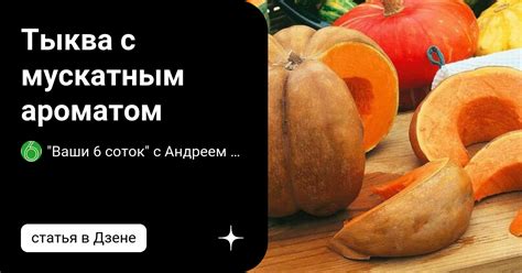 Тыква с мускатным ароматом | "Ваши 6 соток" с Андреем Тумановым | Дзен