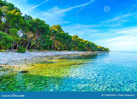 Beach In Croatia Istria Peninsula Stock Image Image Of Istria