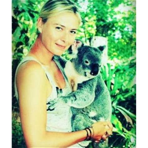 Фенове се закачат с Шарапова за Григор