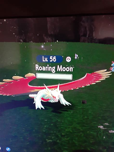 Shiny Roaring Moon + 2 shiny zweilous [first shiny hunt SV] : r ...