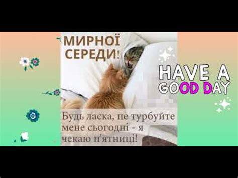Гарної середи! Мирної середи! - YouTube