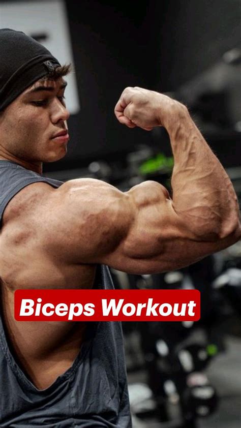 Biceps Workout Biceps Workout Biceps Workout