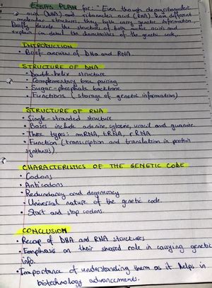 Prokayotic And Eukaryotic Cells Biology Intermediate Prokar Yo Tic