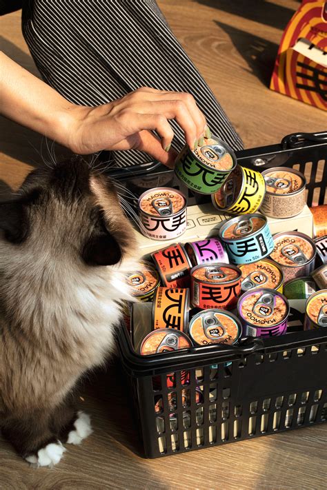 MAOWOO Cat Food Packaging & Identity 毛兀 宠物品牌及罐头包装设计 :: Behance