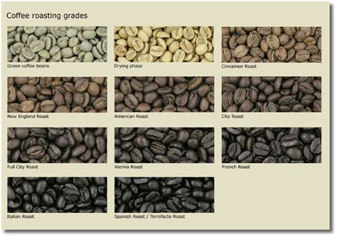 coffee roasting grades