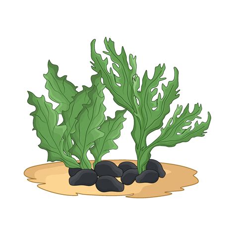 illustration of seaweed 46969592 Vector Art at Vecteezy