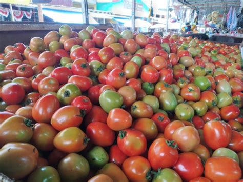 Harga Bawang Dan Rempah Lain Di Ternate Masih Stabil Tandaseru