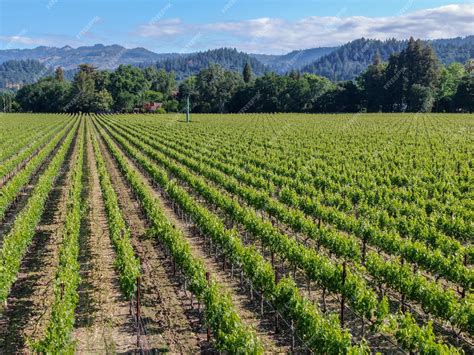 Premium Photo | Napa County in California's Wine Country