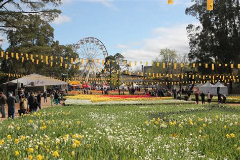 How to Reach Floriade in Canberra by Public Bus 10