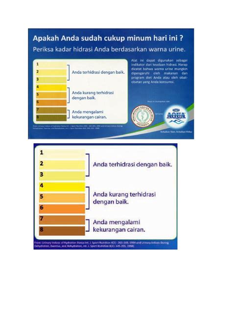 Warna Urine Pdf