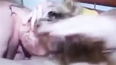 Free Brutal Blowjob Porn Videos Xhamster