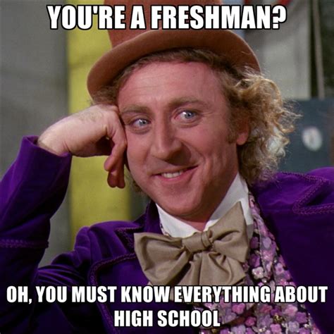 High School Sophomore Meme