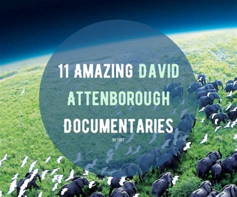 11 Amazing David Attenborough Documentaries | The Monthly Film Festival