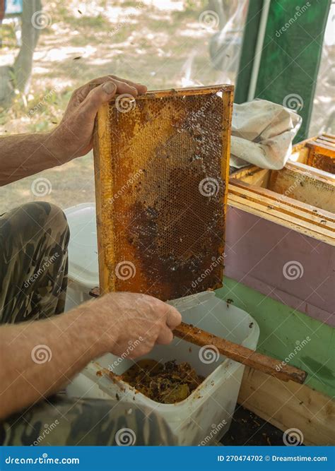 Extracting Honey From Honeycomb Concept Close Up View Of Beekeeper Cutting Wax Lids With Hot