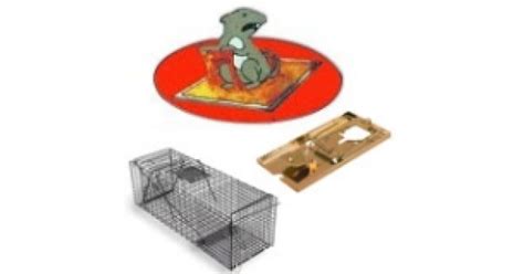 Купить ловушки для крыс и мышей с доставкой в магазине Чистый Мир.