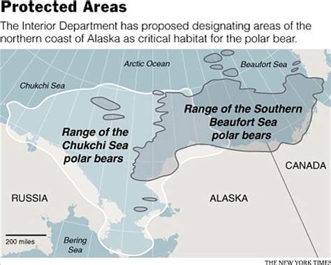 Designated critical habitat for Alaskan polar bears offers no ...