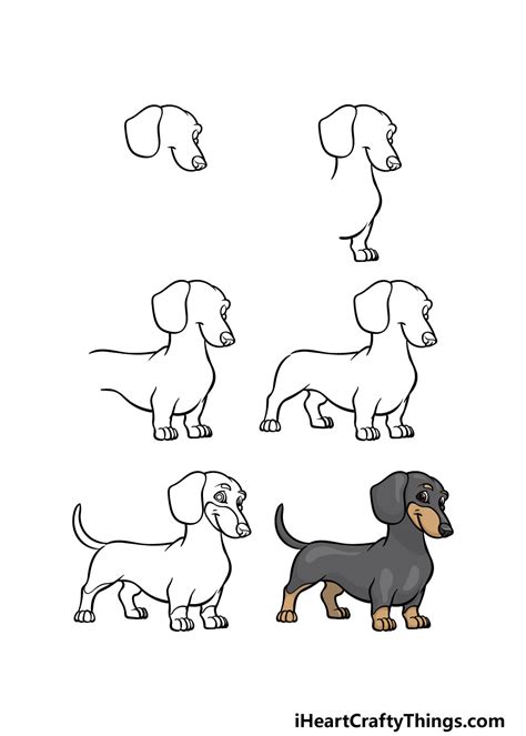 Learn How To Draw A Wiener Dog Dogs Step By Step Drawing 49 Off