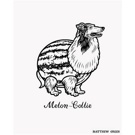 Melon Uk