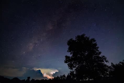 Silhouette of a tree at night 1896896 Stock Photo at Vecteezy