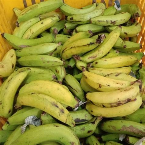 jual pisang ambon kg shopee indonesia