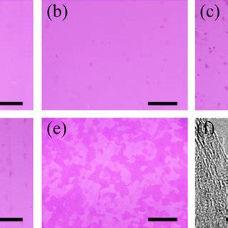 Optical Images Of Transferred Ndoped Graphene On The Nm Sio Si